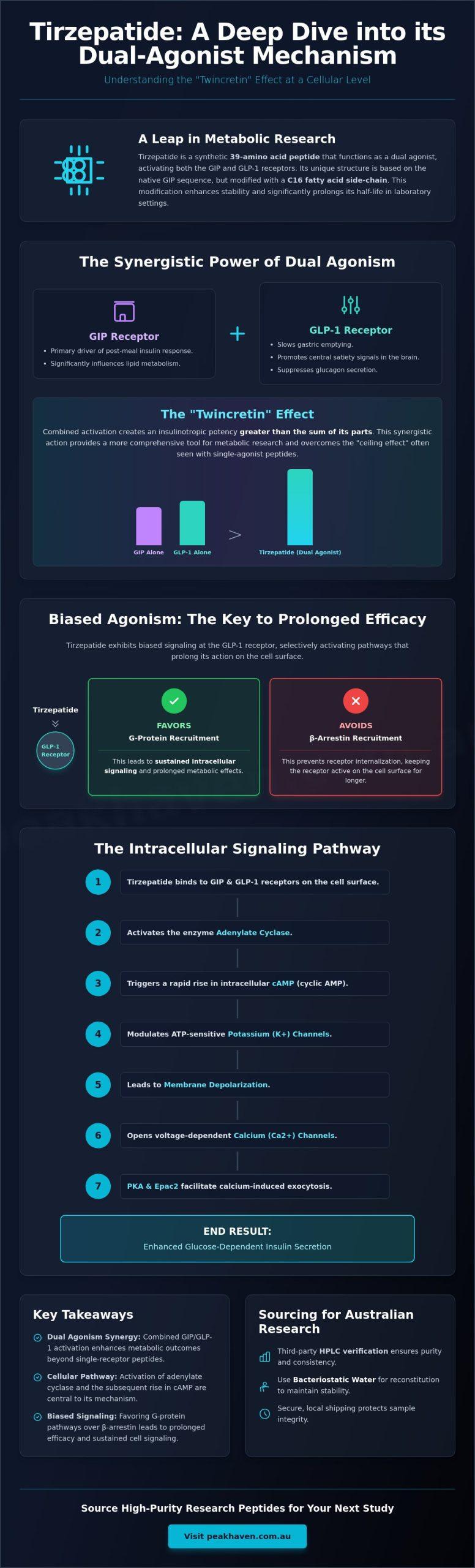 Tirzepatide Mechanism of Action Study: Dual GIP and GLP-1 Agonism in Research