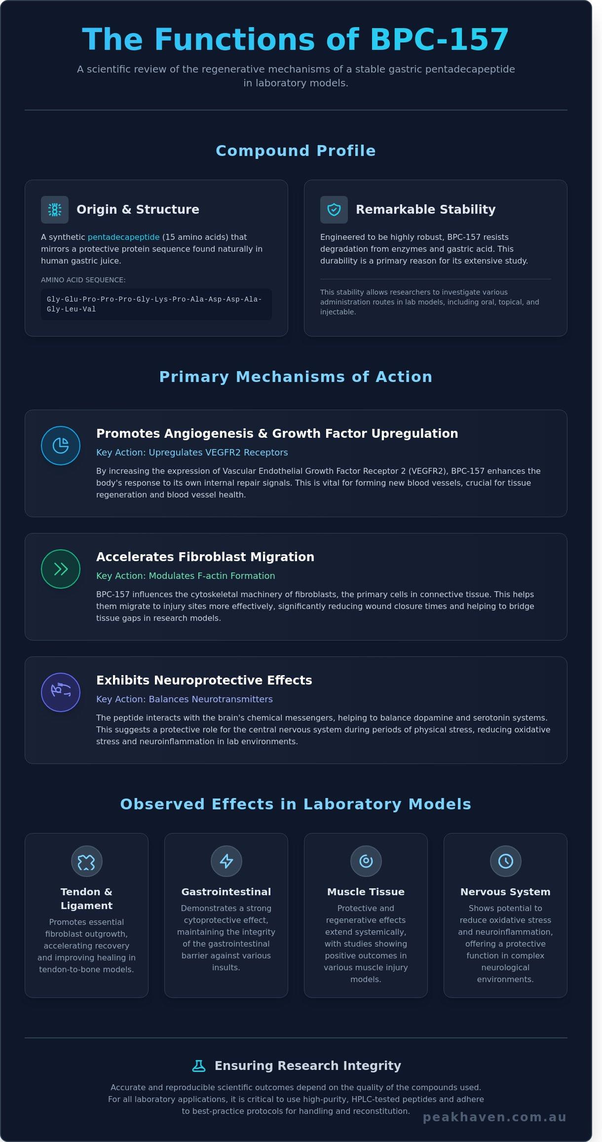 What is the Function of BPC-157 in Studies? A 2026 Scientific Review